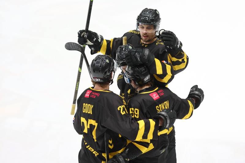 Ice Hockey. Tauron Hokej Liga. Zaglebie Sosnowiec - GKS Katowice. 21.01.2024