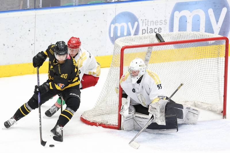Ice Hockey. Tauron Hokej Liga. Zaglebie Sosnowiec - GKS Katowice. 21.01.2024