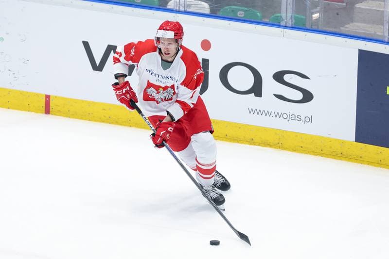 Ice Hockey. Friendly Match. Poland - Denmark. 07.05.2024