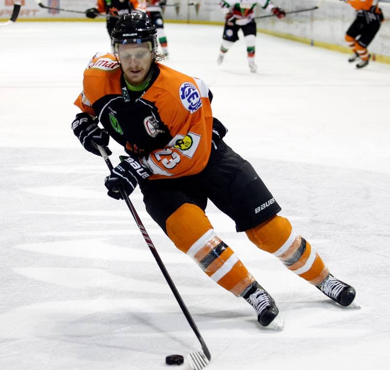 Ice Hockey. Polska Hokej Liga. GKS Tychy - JKH GKS Jastrzebie. 30.11.2014