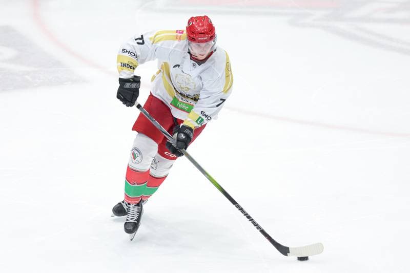 Ice Hockey. Tauron Hokej Liga. Zaglebie Sosnowiec - Marma Ciarko STS Sanok. 23.02.2024