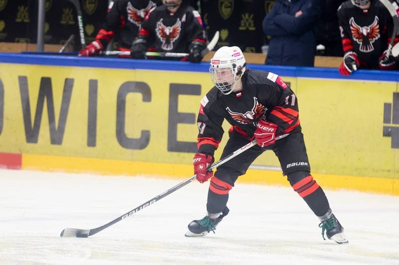 Ice Hockey. EWHL. Tauron Metropolia Silesia - KEHV Lakers. 03.02.2024