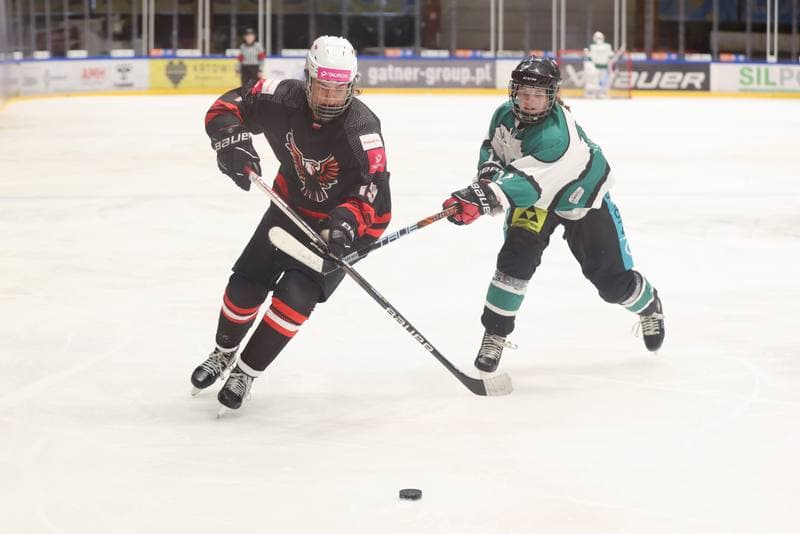 Ice Hockey. EWHL. Tauron Metropolia Silesia - KEHV Lakers. 04.02.2024