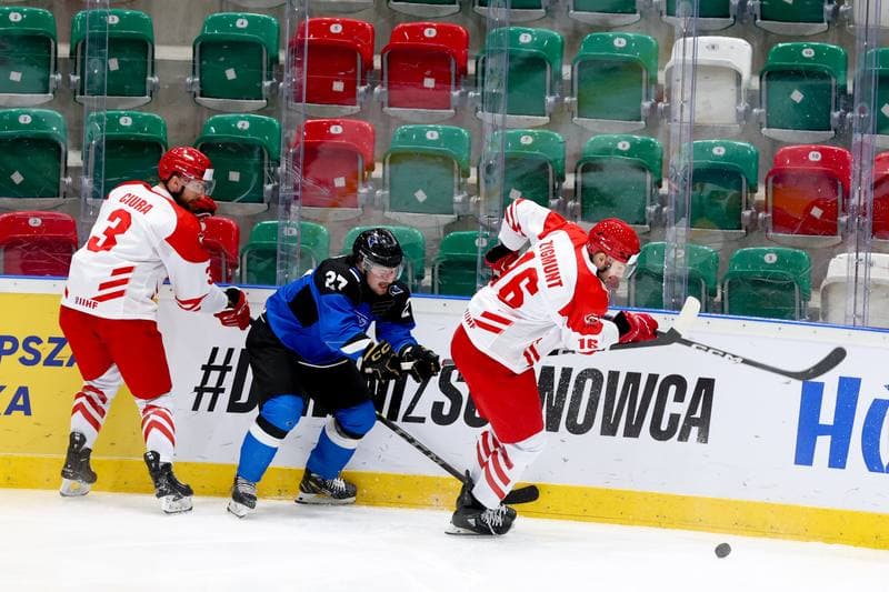 Ice Hockey. Olympic Qualification. Poland - Estonia. 08.02.2024