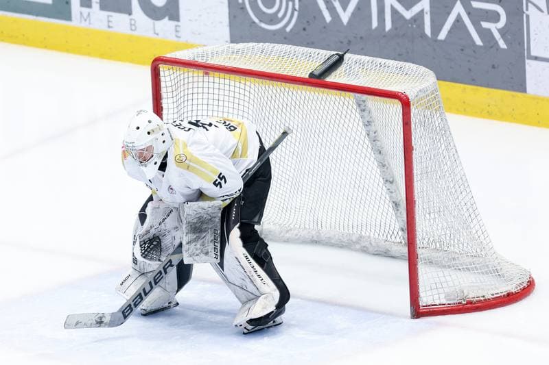 Ice Hockey. Tauron Hokej Liga. Zaglebie Sosnowiec - PZU Podhale Nowy Targ. 14.02.2024