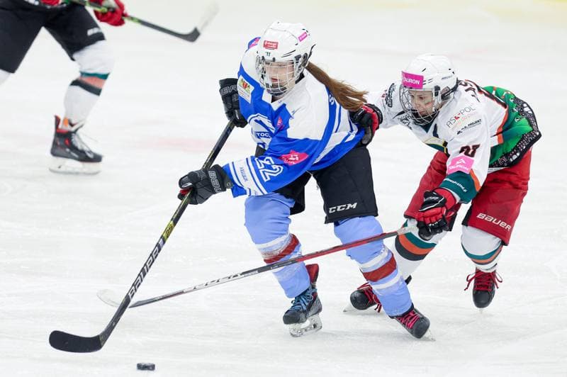 Ice Hockey. Tauron Liga. Kojotki Naprzod Janow - Stoczniowiec Gdansk. 24.02.2024