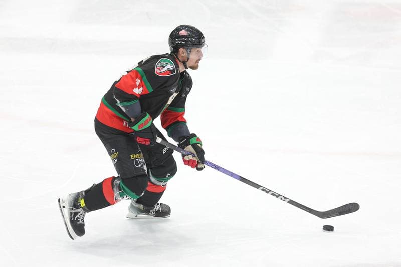 Ice Hockey. Tauron Hokej Liga. Zaglebie Sosnowiec - GKS Tychy. 27.02.2024