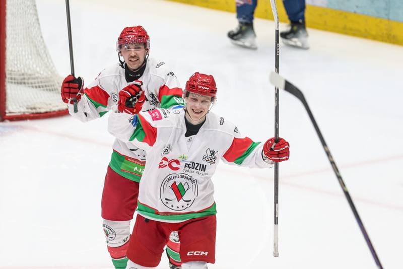 Ice Hockey. Tauron Hokej Liga. EC Bedzin Zaglebie Sosnowiec - KH Energa Torun. 19.01.2025