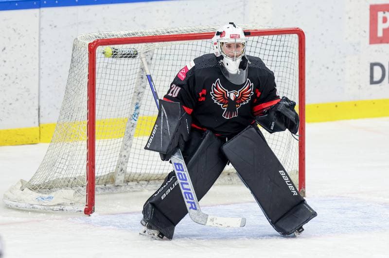 Ice Hockey. EWHL. Tauron Metropolia Silesia - EC Graz Huskies. 02.03.2024