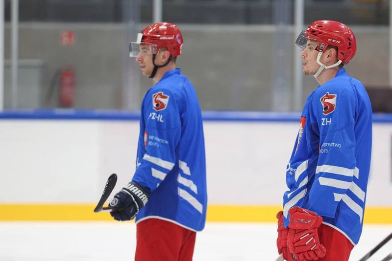 Ice Hockey. Poland national team. Training. 11.04.2024