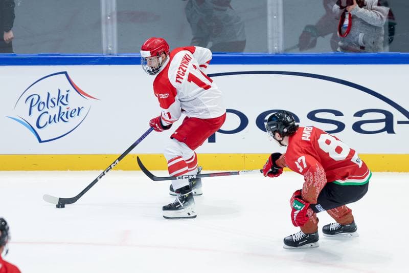 Ice Hockey. Friendly Match. Poland - Hungary. 12.04.2024
