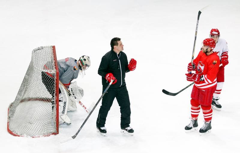 Ice Hockey. Poland national team. Training. 13.04.2016