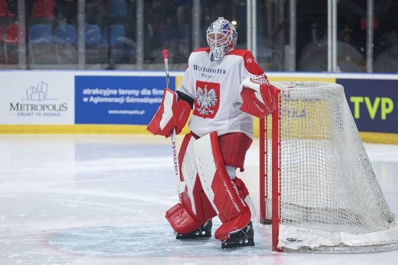 Ice Hockey. Friendly Match. Poland - Slovenia. 18.04.2024