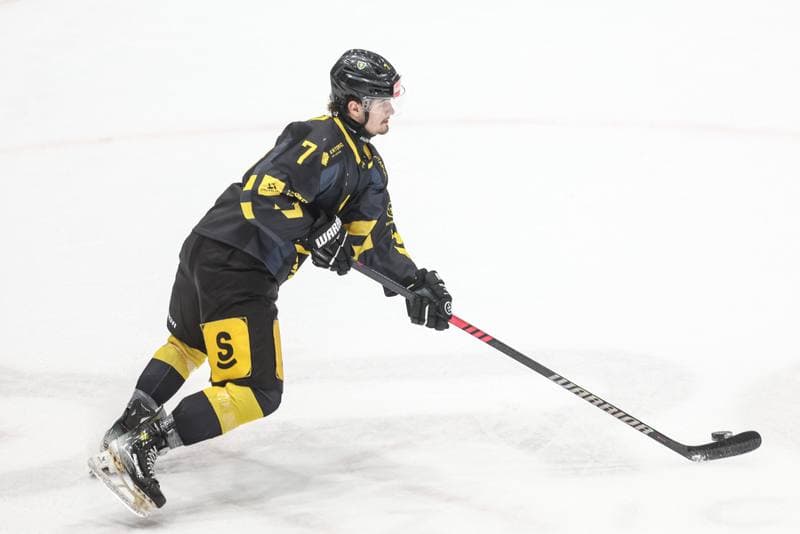 Ice Hockey. Tauron Hokej Liga. EC Bedzin Zaglebie Sosnowiec - GKS Katowice. 01.12.2024