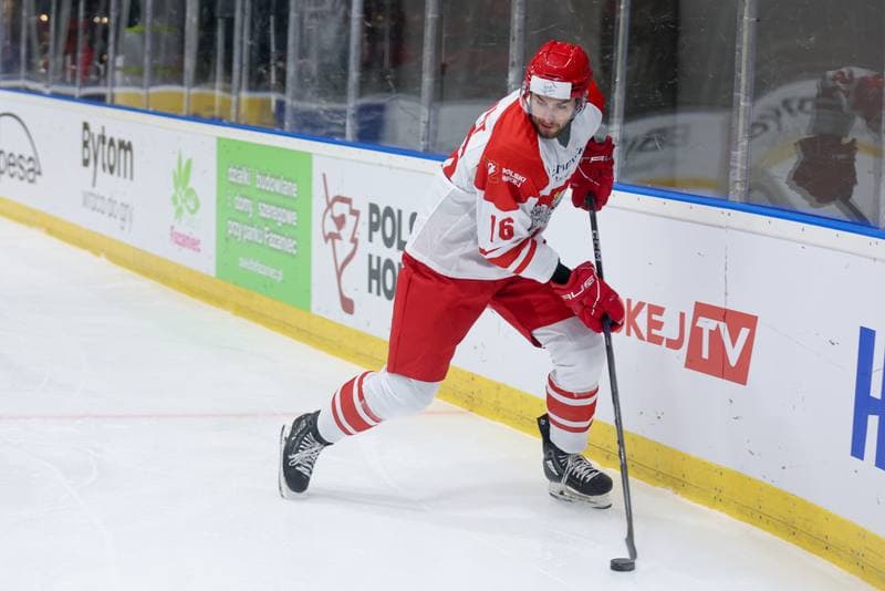 Ice Hockey. Friendly Match. Poland - Slovenia. 19.04.2024