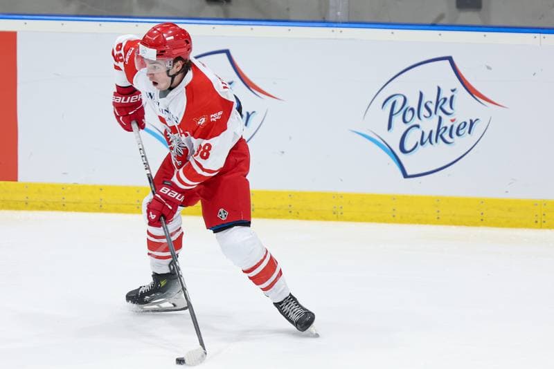Ice Hockey. Friendly Match. Poland - Slovenia. 19.04.2024