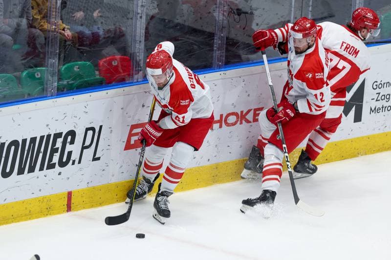 Ice Hockey. Friendly Match. Poland - Denmark. 07.05.2024