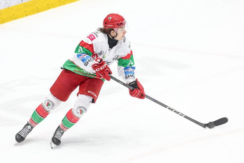 Ice Hockey. Tauron Hokej Liga. EC Bedzin Zaglebie Sosnowiec - KH Energa Torun. 19.01.2025