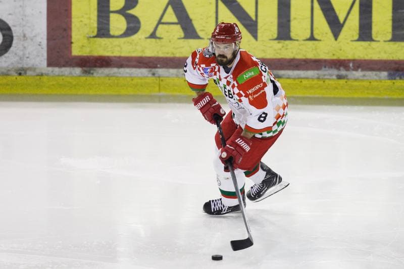 Ice Hockey. Polska Hokej Liga. Zaglebie Sosnowiec - Weglokoks Kraj Polonia Bytom. 28.10.2018