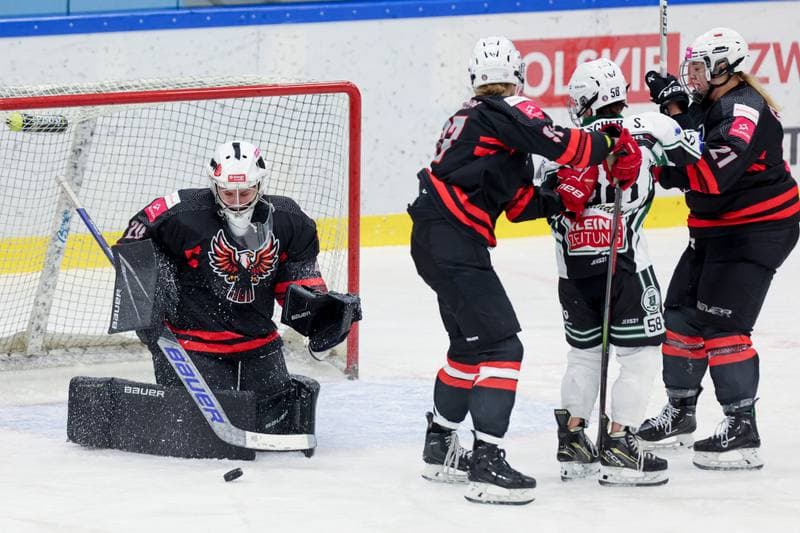 Ice Hockey. EWHL. Tauron Metropolia Silesia - EC Graz Huskies. 02.03.2024