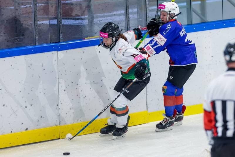 Ice Hockey. Tauron Liga Hokeja Kobiet. Kojotki Naprzod Janow - SMS Polonia Bytom. 09.09.2023