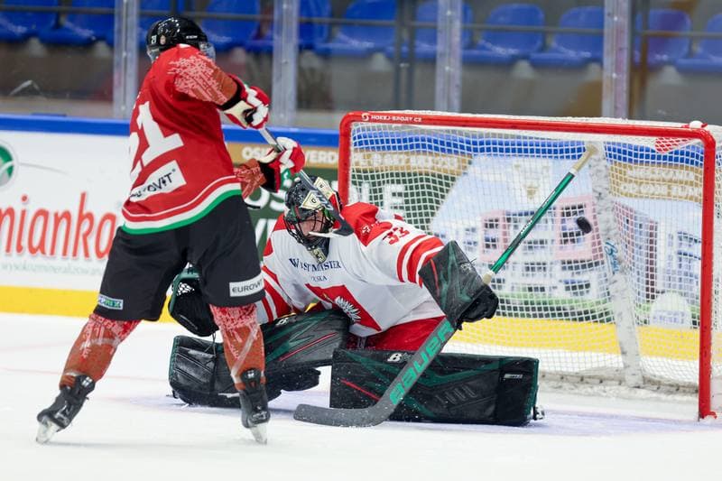 Ice Hockey. Friendly Match. Poland - Hungary. 12.04.2024