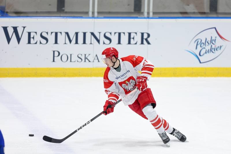 Ice Hockey. Friendly Match. Poland - Slovenia. 19.04.2024