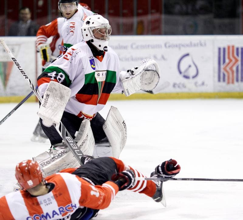 Ice Hockey. Polska Hokej Liga. GKS Tychy - Comarch Cracovia Krakow. 30.01.2015