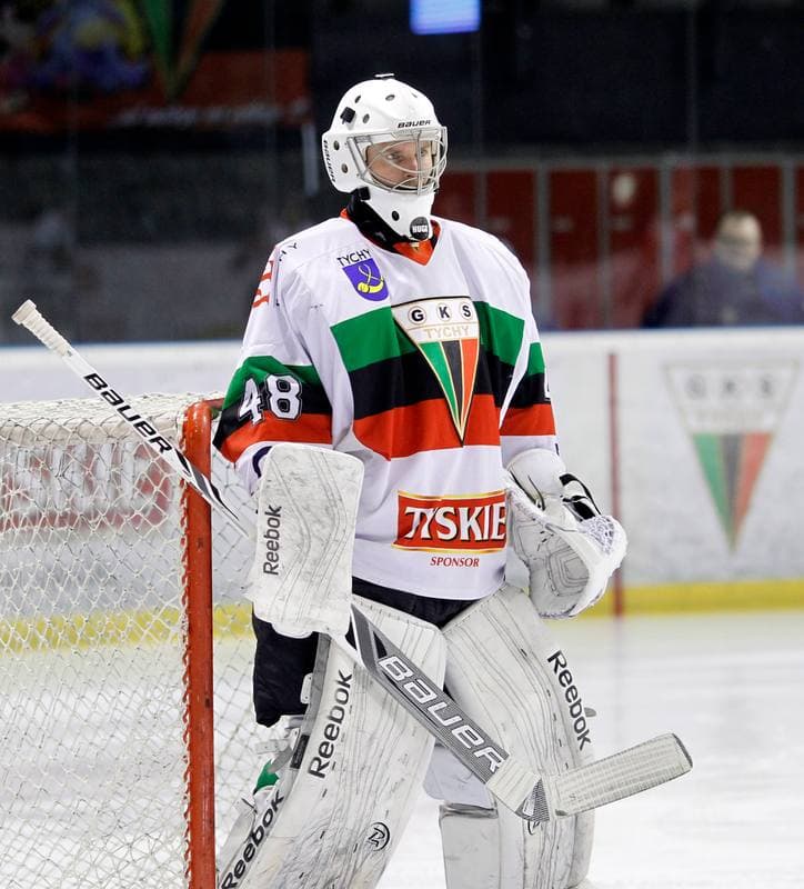Ice Hockey. Polska Hokej Liga. GKS Tychy - Comarch Cracovia Krakow. 30.01.2015