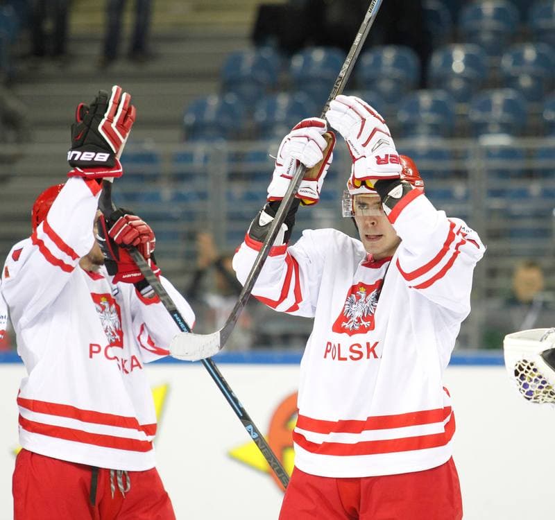 Ice Hockey. IIHF World Championship Division 1A. Poland - Japan. 20.04.2015