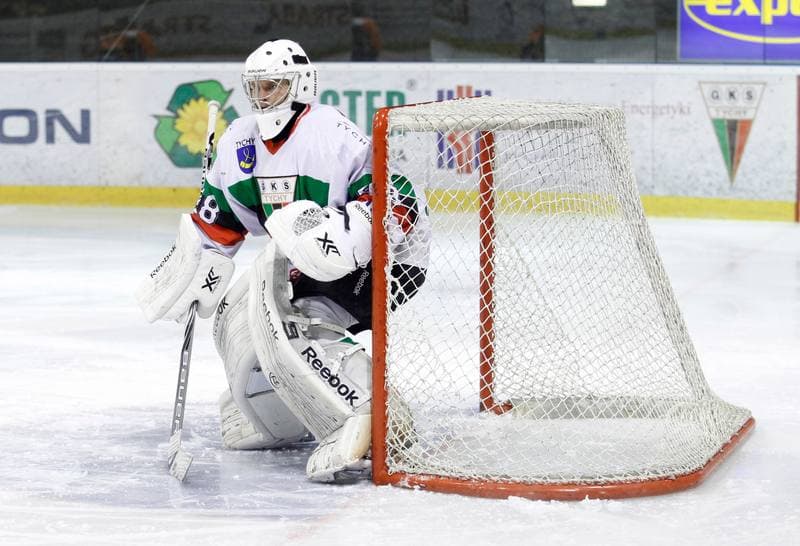 Ice Hockey. Polska Hokej Liga. GKS Tychy - JKH GKS Jastrzebie. 30.11.2014