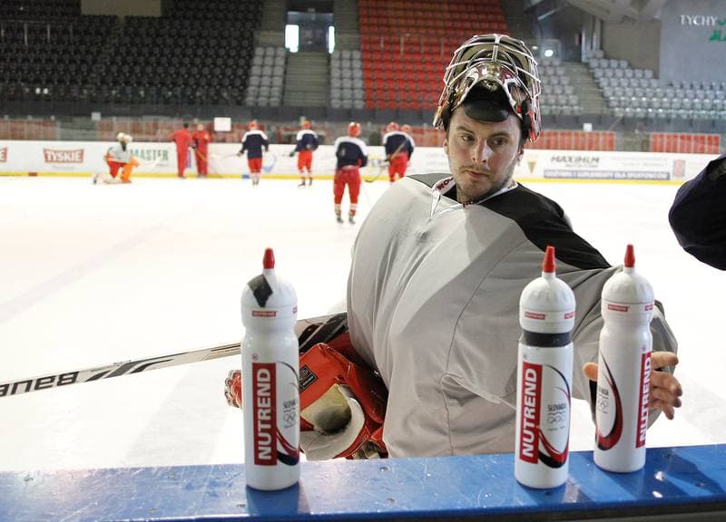 Ice Hockey. Poland national team. Training. 14.04.2015