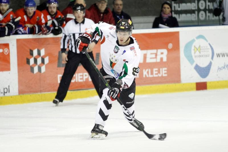 Ice Hockey. Polska Hokej Liga. GKS Tychy - Tempish Polonia Bytom. 07.03.2017