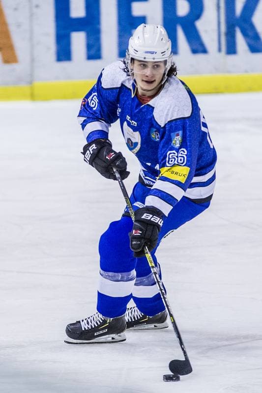Ice Hockey. PHL. Naprzod Janow - Unia Oswiecim. 03.12.2019