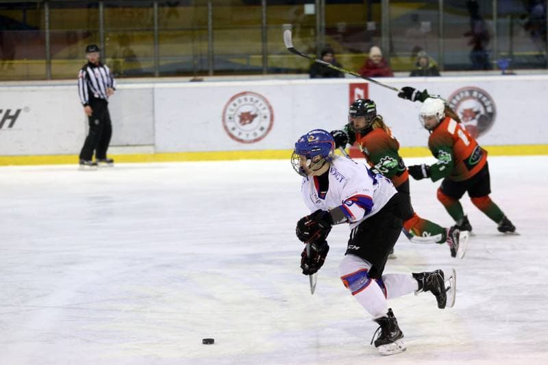 Ice Hockey. PLHK. Polonia Bytom - Naprzod Janow. 03.03.2018