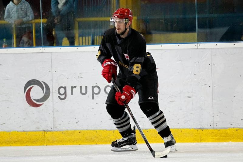 Ice Hockey. Sparing. Polonia Bytom - Comarch Cracovia. 15.08.2017
