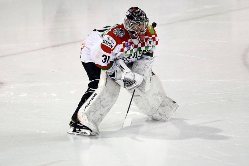 Ice Hockey. Polska Hokej Liga. Zaglebie Sosnowiec - Comarch Cracovia. 22.01.2019
