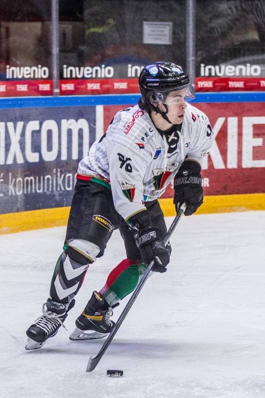 Ice Hockey. PHL. GKS Tychy - Stoczniowiec Gdansk. 19.02.2021