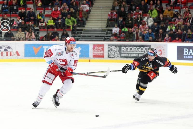 Ice Hockey. Tipsport Extraliga. Ocelari Trinec - HC Verva Litvinov. 06.01.2019