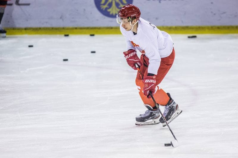 Ice Hockey. Poland national team. Training. 15.04.2021
