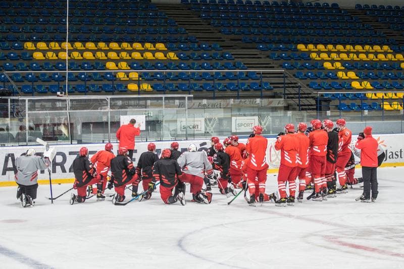 Ice Hockey. Poland national team. Training. 02.05.2021