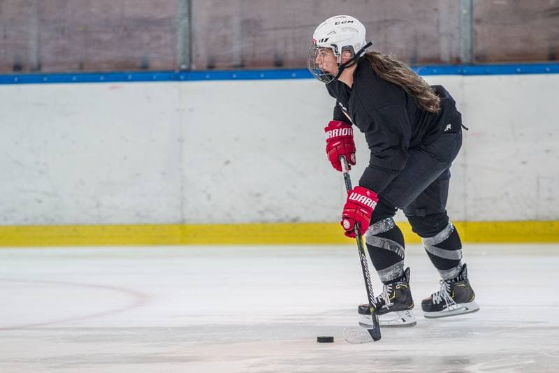 Ice Hockey. Poland national team. Training. 05.09.2019