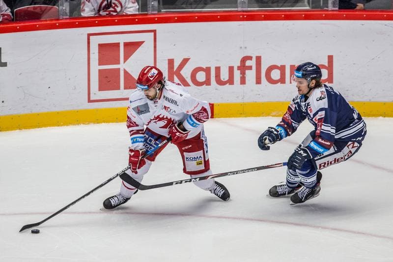 Ice Hockey. Tipsport Extraliga. Ocelari Trinec - Vitkovice Ridera. 21.11.2019