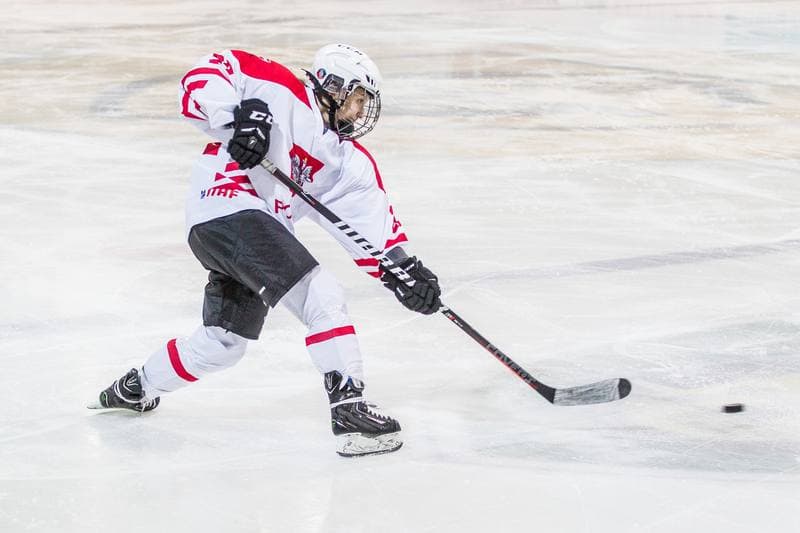 Ice Hockey. EWHL. Silesia Breckens - Hvidovre IK Selects. 01.12.2019