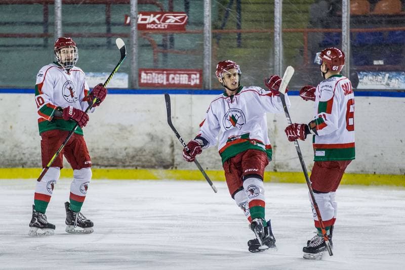 Ice Hockey. PHL. Zaglebie Sosnowiec - JKH GKS Jastrzebie. 29.11.2019