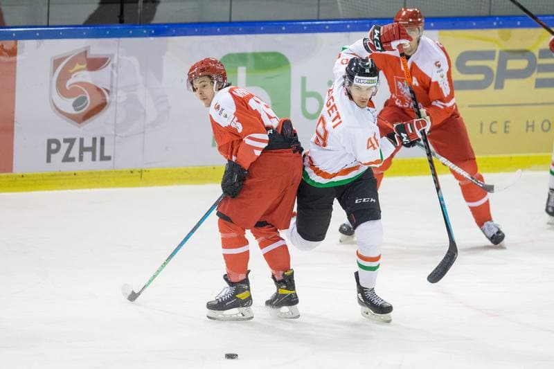 Ice Hockey. International Friendly. Poland - Hungary. 18.12.2020