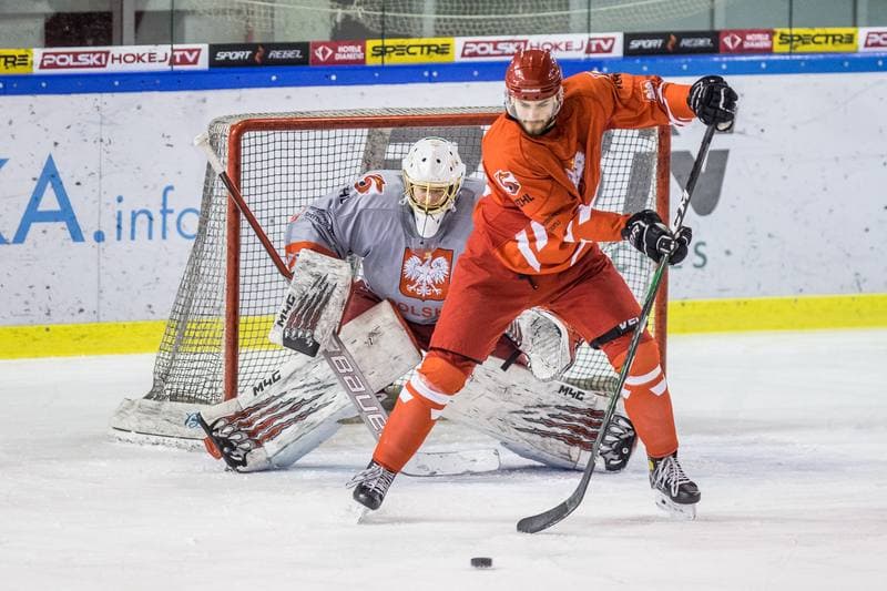 Ice Hockey. Poland national team. Training. 15.04.2021