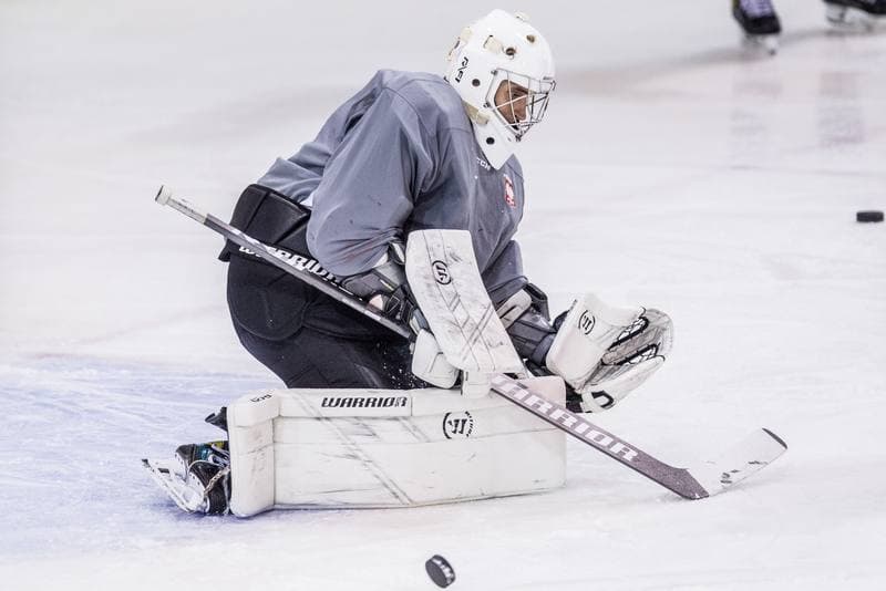 Ice Hockey. Poland national team. Training. 14.12.2020