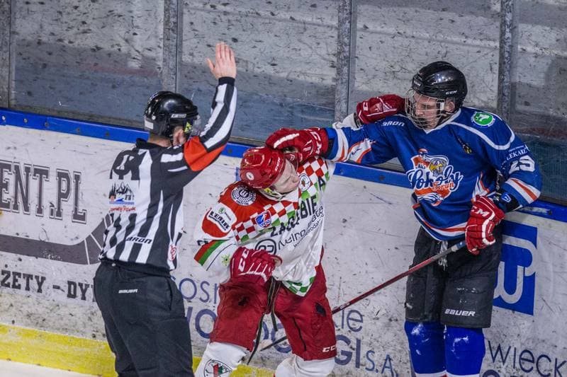Ice Hockey. MHL. UKH Zaglebie Sosnowiec - Sokoly Torun. 08.01.2022