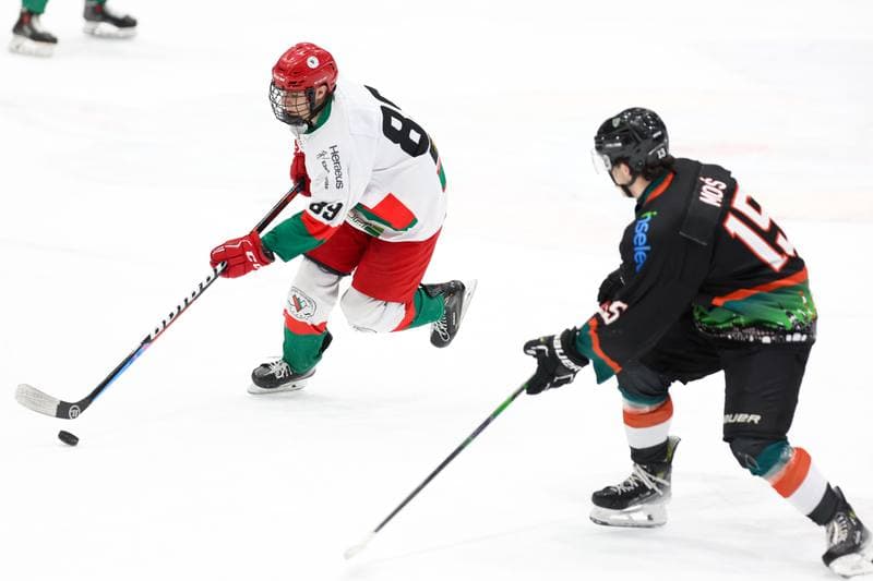 Ice Hockey. MHL. Zaglebie Sosnowiec - Naprzod Janow Katowice. 06.01.2024